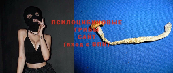 не бодяженный Алексин