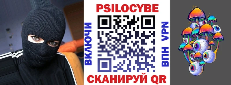 закладка  Моршанск  Псилоцибиновые грибы Psilocybine cubensis 